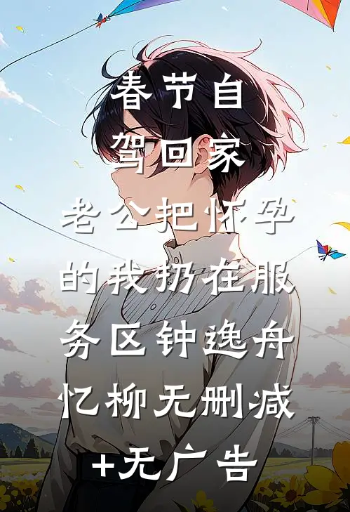 春节自驾回家，老公把怀孕的我扔在服务区钟逸舟忆柳无删减+无广告