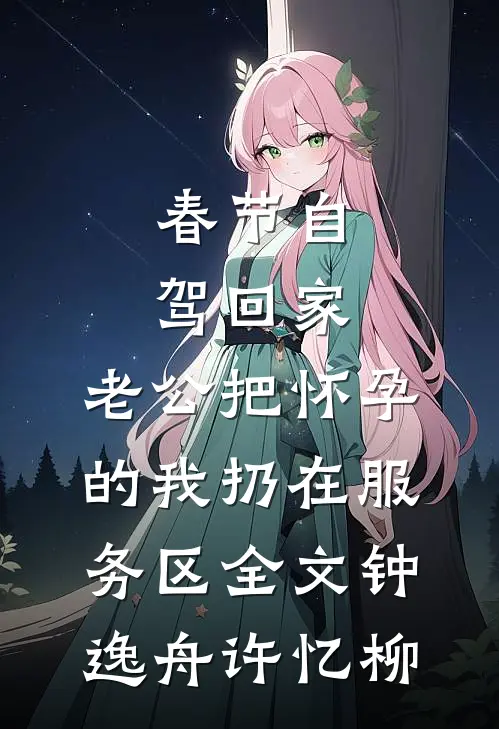 春节自驾回家，老公把怀孕的我扔在服务区全文钟逸舟许忆柳