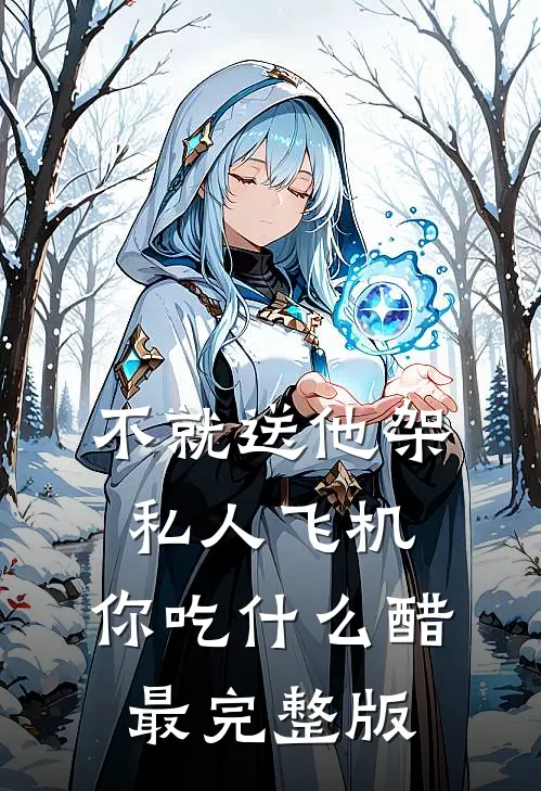 不就送他架私人飞机，你吃什么醋最完整版