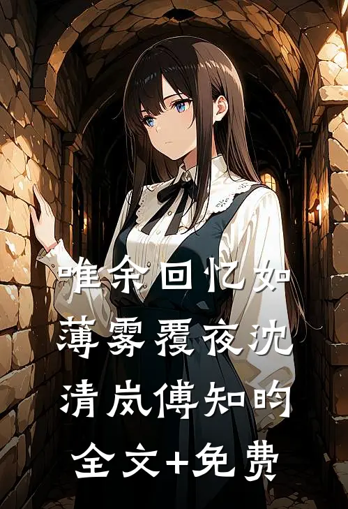 唯余回忆如薄雾覆夜沈清岚傅知昀全文+免费