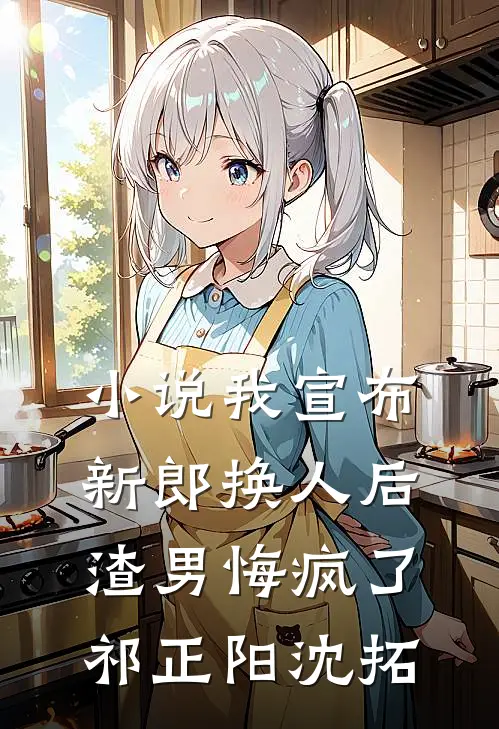 小说我宣布新郎换人后，渣男悔疯了(祁正阳沈拓)