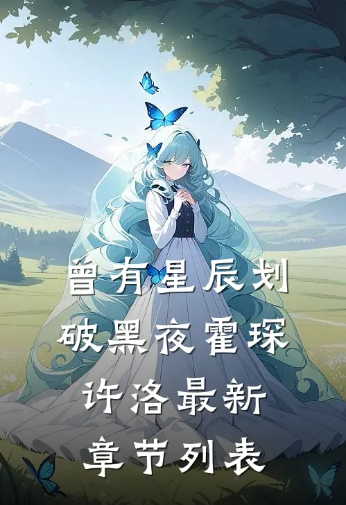 曾有星辰划破黑夜霍琛许洛最新章节列表