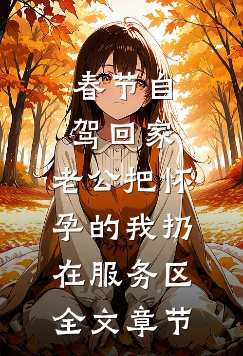 春节自驾回家，老公把怀孕的我扔在服务区全文章节