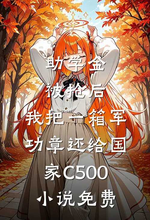 助学金被抢后，我把一箱军功章还给国家C500小说免费