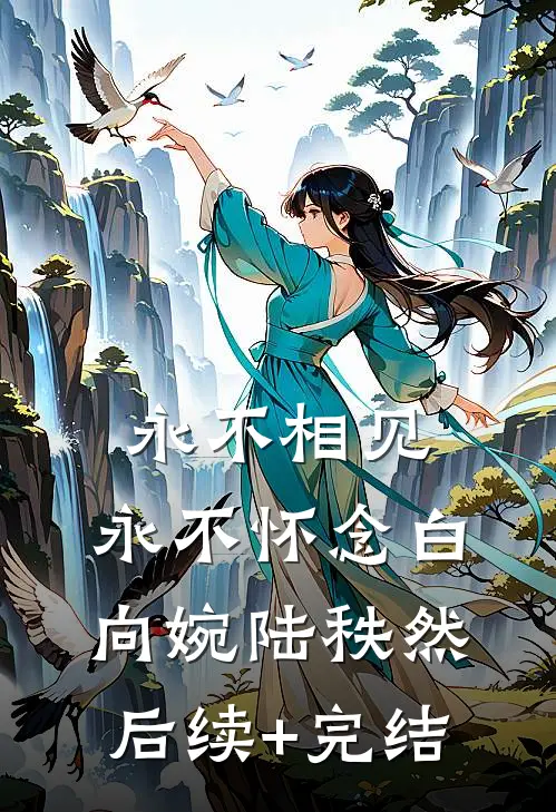 永不相见，永不怀念白向婉陆秩然后续+完结