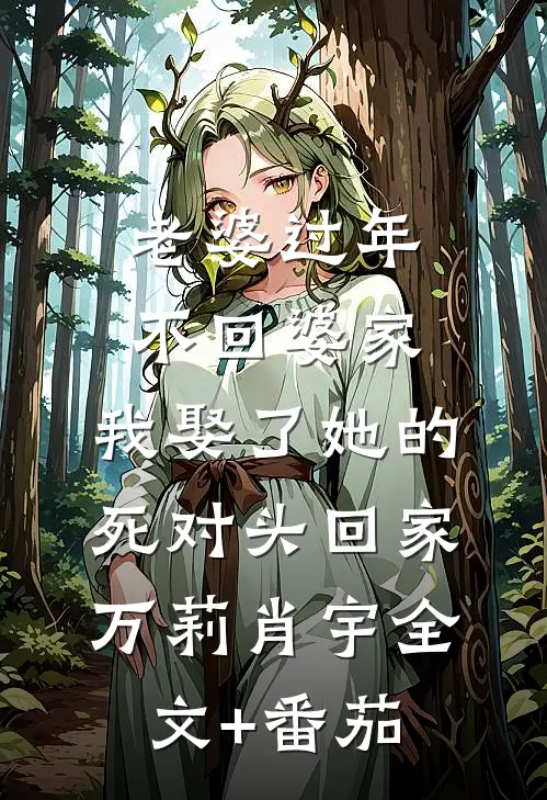 老婆过年不回婆家，我娶了她的死对头回家万莉肖宇全文+番茄