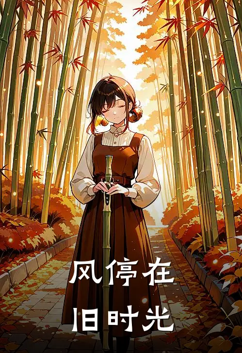 风停在旧时光
