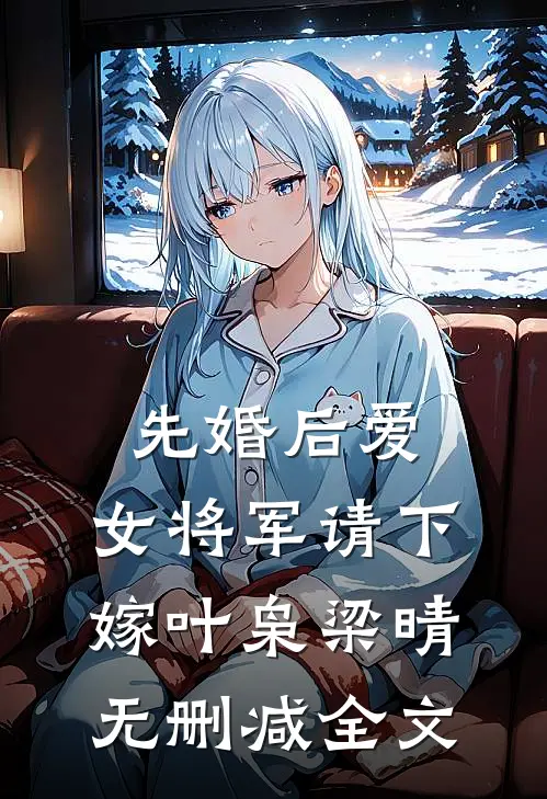 先婚后爱，女将军请下嫁叶枭梁晴无删减全文