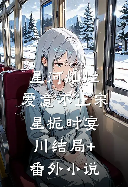 星河灿烂，爱意不止宋星栀时宴川结局+番外小说
