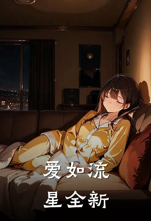爱如流星全新