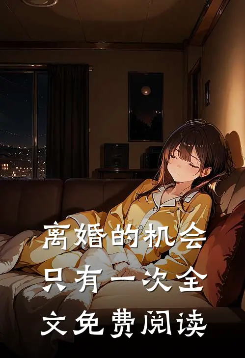 离婚的机会只有一次全文免费阅读