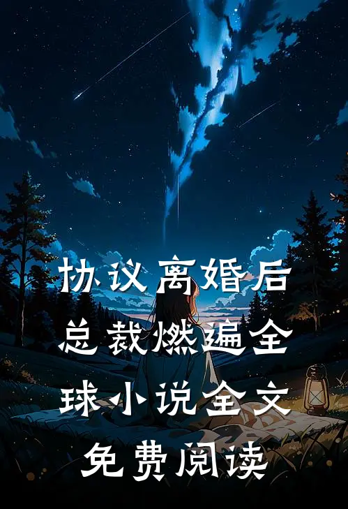 协议离婚后，总裁燃遍全球小说全文免费阅读