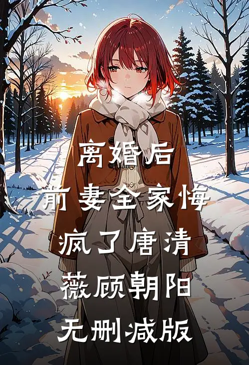 那场雪后不再许她白头结局+番外