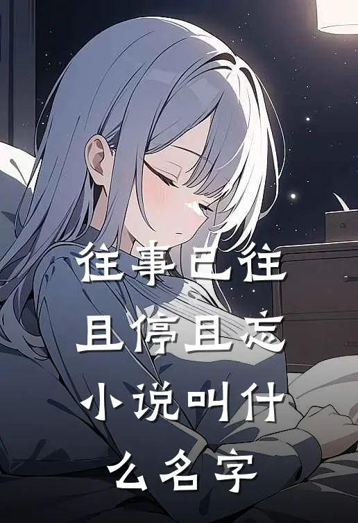往事已往，且停且忘小说叫什么名字