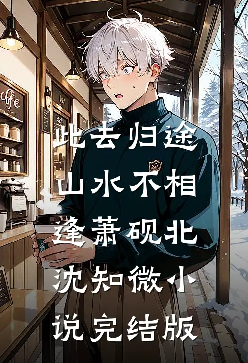 此去归途，山水不相逢萧砚北沈知微小说完结版