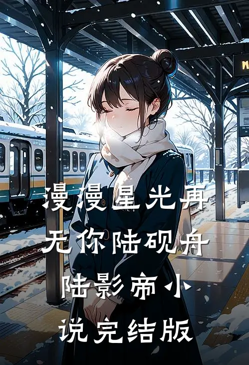 漫漫星光再无你陆砚舟陆影帝小说完结版