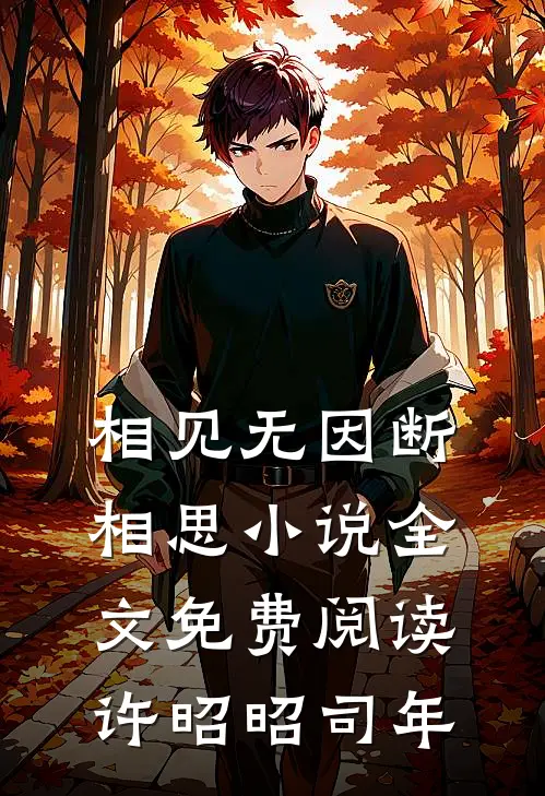 相见无因断相思小说全文免费阅读许昭昭司年