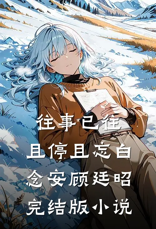 往事已往，且停且忘白念安顾廷昭完结版小说