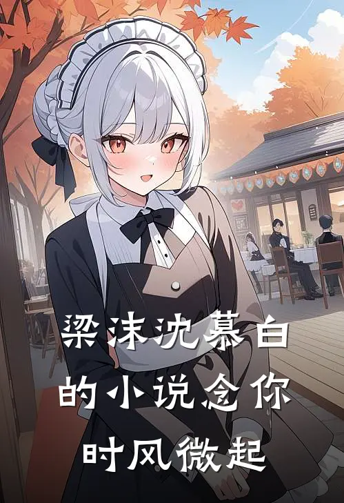 梁沫沈慕白的小说念你时风微起
