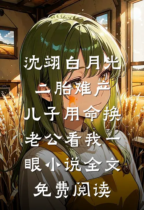 沈翊白月光二胎难产，儿子用命换老公看我一眼小说全文免费阅读