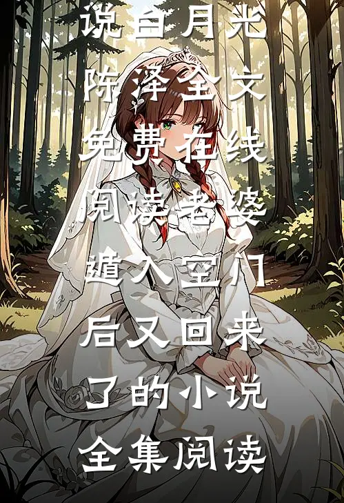 老婆遁入空门后又回来了的小说