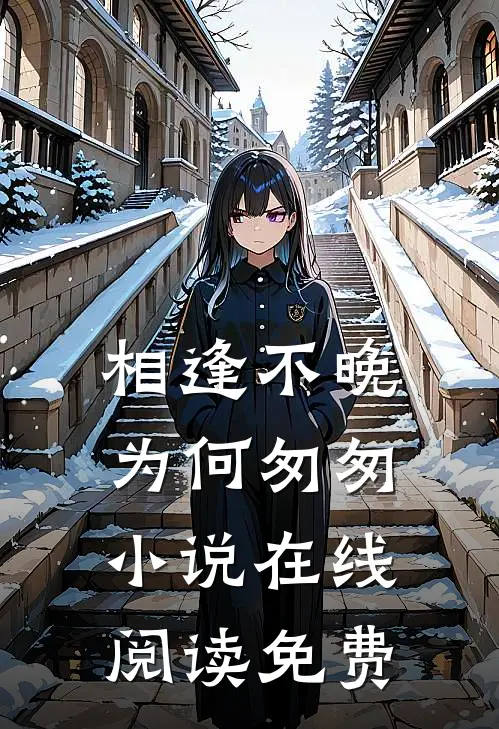 相逢不晚为何匆匆小说在线阅读免费