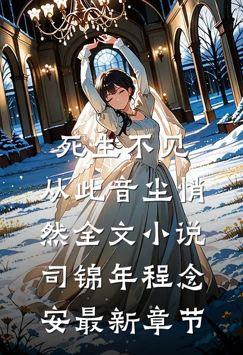 死生不见，从此音尘悄然全文小说司锦年程念安最新章节