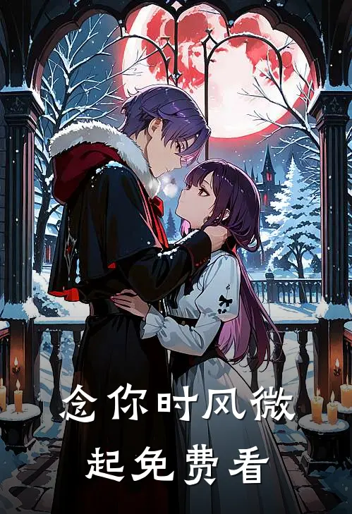 念你时风微起免费看