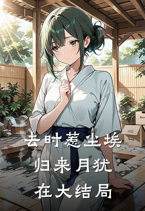 去时惹尘埃，归来月犹在大结局