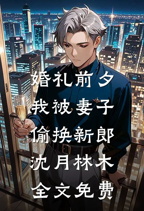 婚礼前夕，我被妻子偷换新郎沈月林木全文免费
