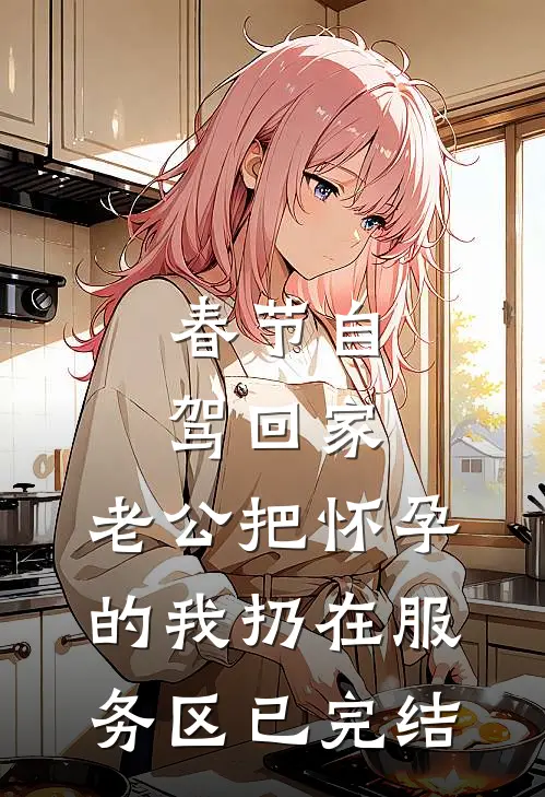 春节自驾回家，老公把怀孕的我扔在服务区已完结