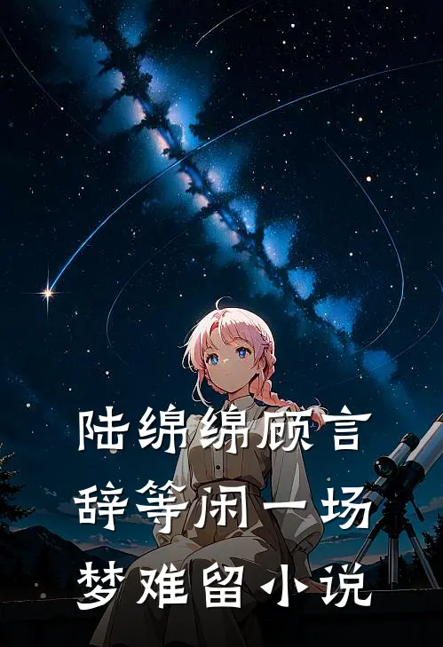 陆绵绵顾言辞等闲一场梦难留小说