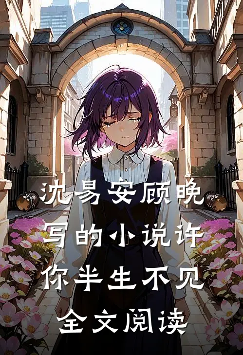 沈易安顾晚写的小说许你半生不见全文阅读