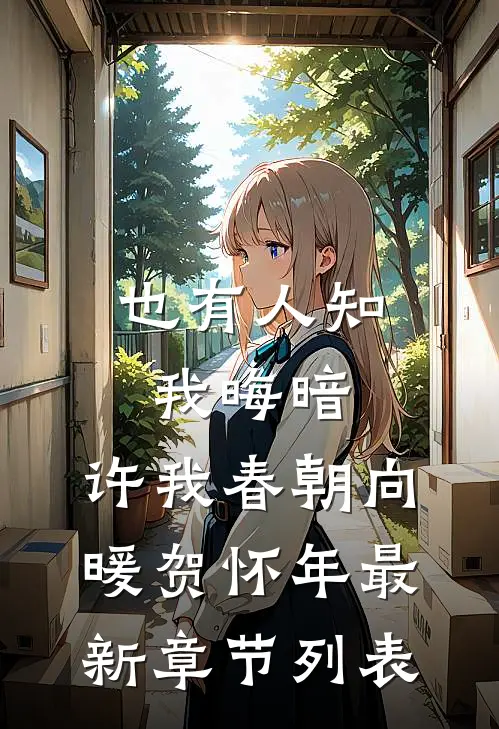 也有人知我晦暗，许我春朝向暖贺怀年最新章节列表