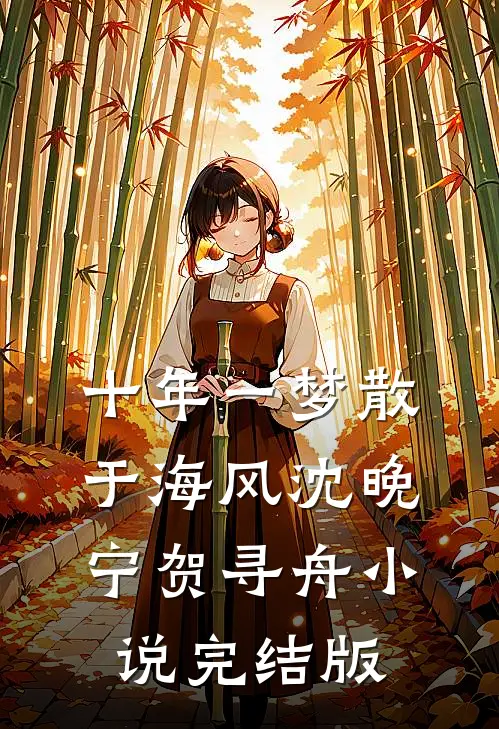 十年一梦散于海风沈晚宁贺寻舟小说完结版