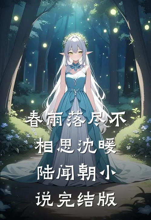春雨落尽不相思沈暖陆闻朝小说完结版