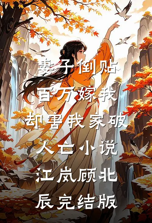 妻子倒贴百万嫁我，却害我家破人亡小说江岚顾北辰完结版