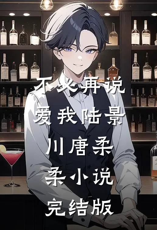 不必再说爱我陆景川唐柔柔小说完结版