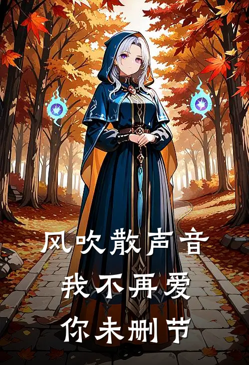 风吹散声音，我不再爱你未删节