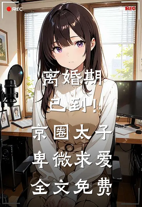 离婚期已到！京圈太子卑微求爱全文免费