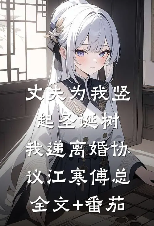 丈夫为我竖起圣诞树，我递离婚协议江寒傅总全文+番茄