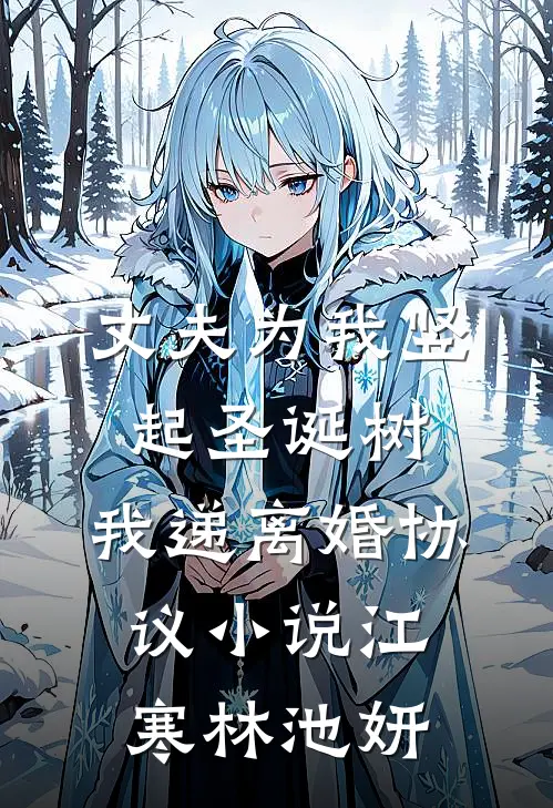 丈夫为我竖起圣诞树，我递离婚协议小说江寒林池妍