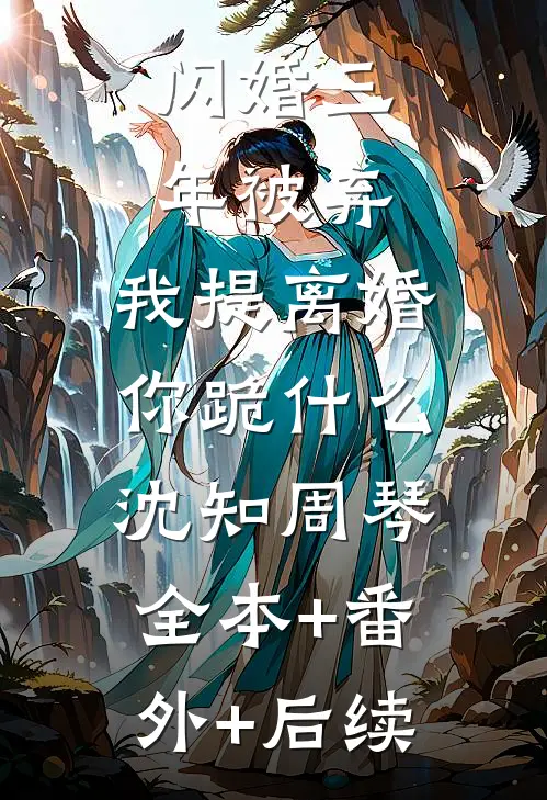 闪婚三年被弃，我提离婚你跪什么沈知周琴:全本+番外+后续