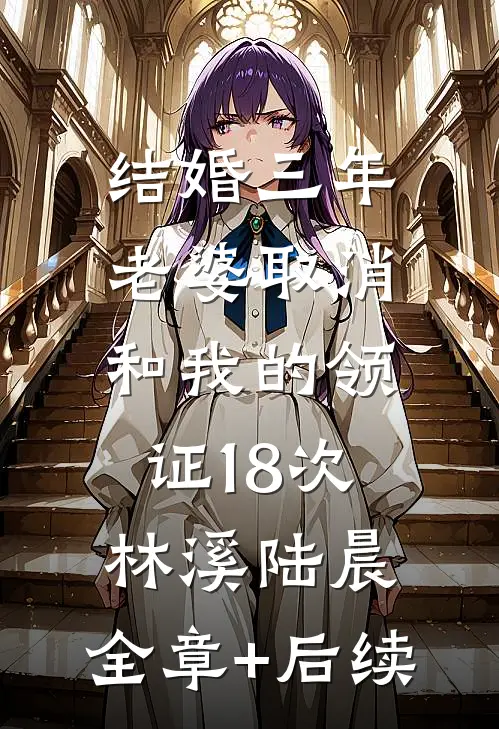结婚三年，老婆取消和我的领证18次林溪陆晨:全章+后续