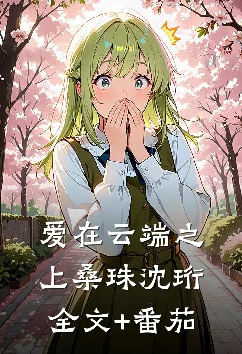 爱在云端之上桑珠沈珩全文+番茄