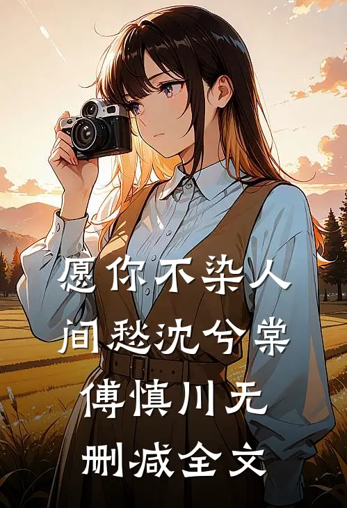 愿你不染人间愁沈兮棠傅慎川无删减全文