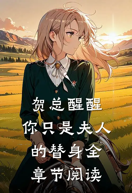 贺总醒醒，你只是夫人的替身全章节阅读
