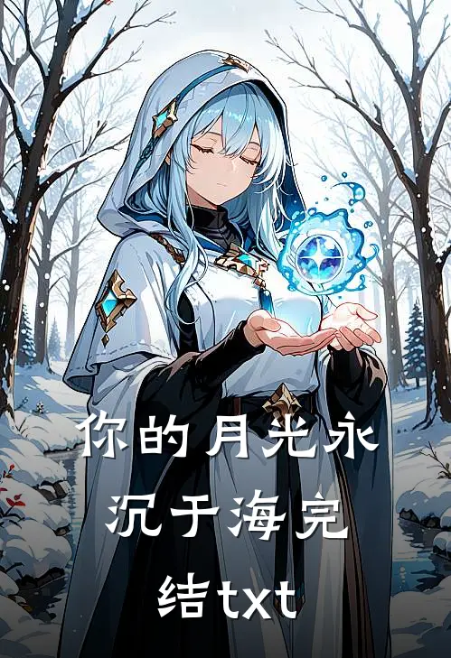 你的月光永沉于海完结txt