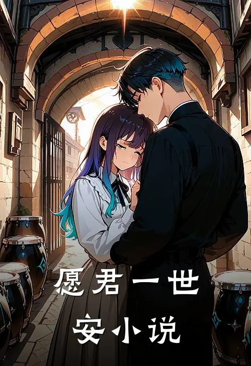 愿君一世安小说