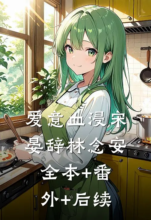 爱意血浸宋晏辞林念安:全本+番外+后续